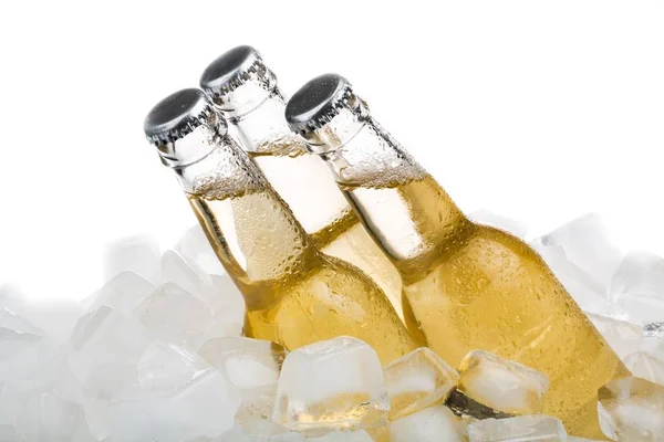 Garrafas de cerveja com gelo — Fotografia de Stock