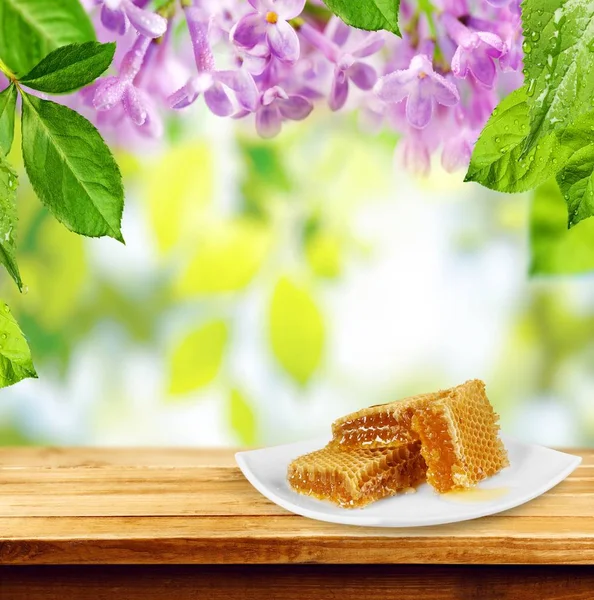 Honey Honeycomb Beeswax Closeup White Liquid Sweet — Stock Photo, Image