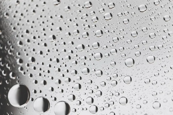 Condensation Water Drops Droplets Rain Drops Raindrops Closeup — Stock Photo, Image