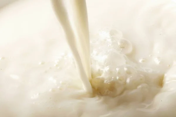 Latte Yogurt Versando Goccia Bere Primo Piano Bianco — Foto Stock