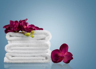 Havlu spa tedavisi beyaz papatya çiçek güzellik tedavi grup nesnenin