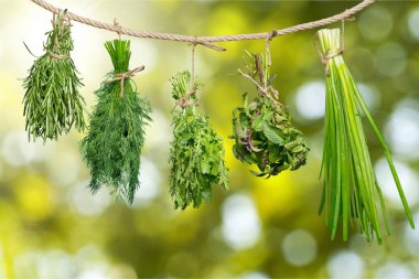 Kight arka plan üzerinde asılı taze otlar izole