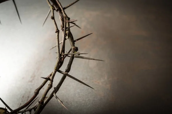 Crown Thorns Background Close View — Stock Photo, Image
