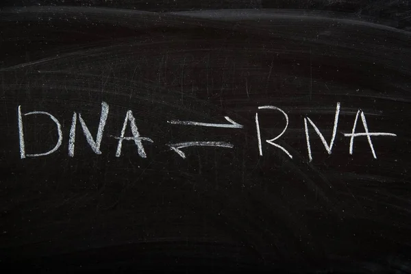 Rna Blackboard Dna Retro Transkription Chalkboard Vita Horisontella — Stockfoto