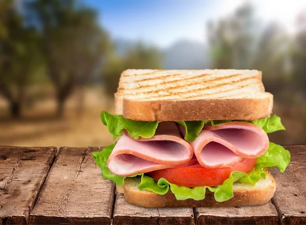 Verse Smakelijke Sandwich Met Ham Tomaten — Stockfoto