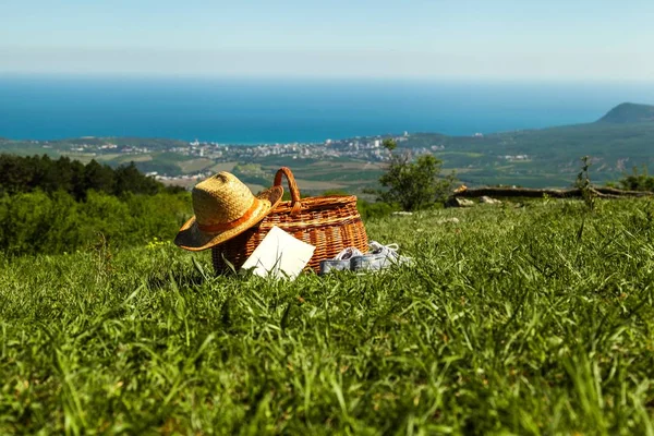 Picknickkorg i ett fält — Stockfoto