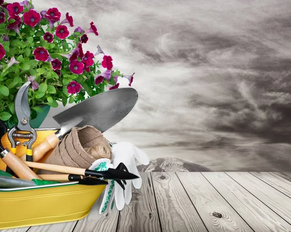 Trädgårdsskötsel Trädgårdsskötsel Utrustning Flower Pot Växt Krukväxt Väska Vit — Stockfoto