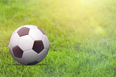 Futbol Rusya topu telstar adidas telstar editoryal feyenoord