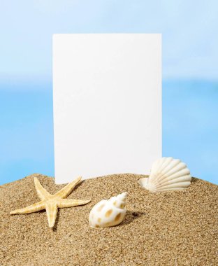 Deniz yıldızı okyanus plaj Turizm resort eğlence shore