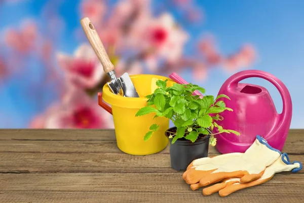 Equipment Gardening Agriculture Background Backyard Boots Can — Stock Photo, Image