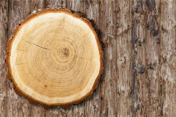 Στρογγυλό κόψιμο δέντρου — Φωτογραφία Αρχείου