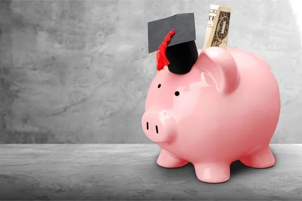 Hat Die Bank Graduierung Schwein Sparschwein Geld Isoliert — Stockfoto