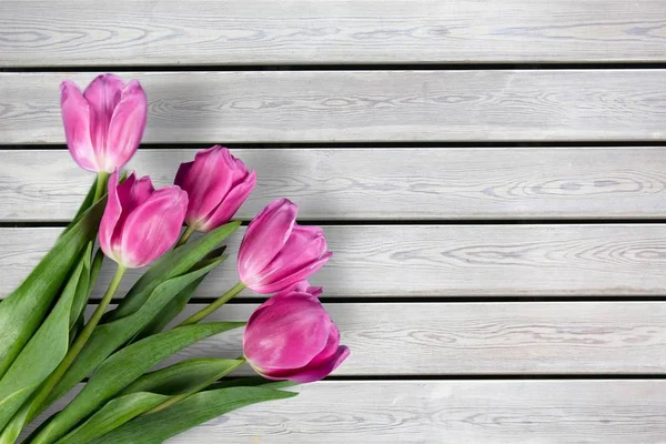 Bellissimi Fiori Tulipani Primaverili Sullo Sfondo — Foto Stock