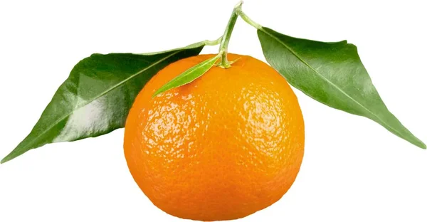 Orange Gesunde Ernährung Lifestyle Zweig Stiel Zitrusfrüchte — Stockfoto