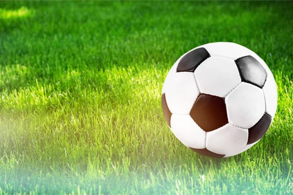 Fußball Feld Fußball Grünen Hintergrund Cup — Stockfoto