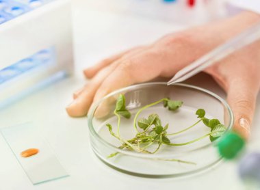 Kimyasal analiz otomatik bio med Biyokimya mavi eldiven