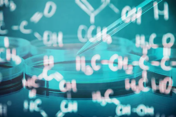 Medisch Onderzoek Laboratorium Petrischaal Dna Wetenschap Onderzoek Biologie — Stockfoto