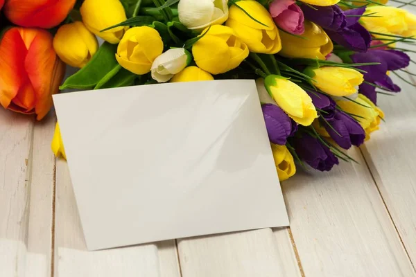 Verse Tulpen Met Lege Close Kaartweergave — Stockfoto