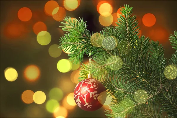 Christmas Tree Abstract Backdrop Background Beautiful Beauty — Stock Photo, Image