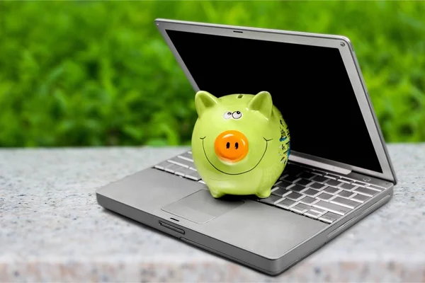 Piggy Tecnologia Bancária Economia Verde Computador Laptop Finanças Domésticas — Fotografia de Stock