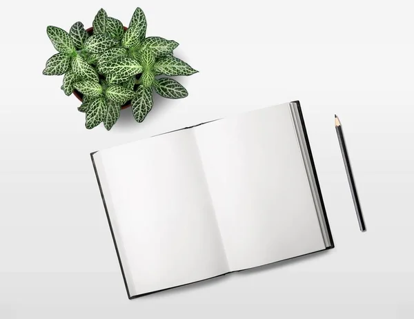 Desk plant office table book notebook pencil