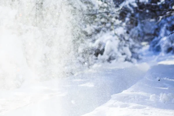 Inverno Paisagem Inverno Cena Neve Papel Parede Árvore Neve — Fotografia de Stock