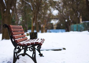 Winter park beyaz kar kış yolu güneş ışığı
