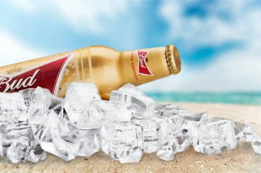 Bud bira şişe buz küpleri 