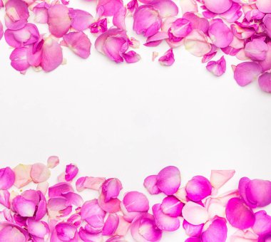 Gül çiçek yaprakları pembe gün yaprakları Sevgililer üst