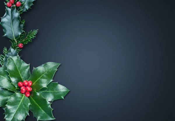 Cute holly leaves and berries on dark background