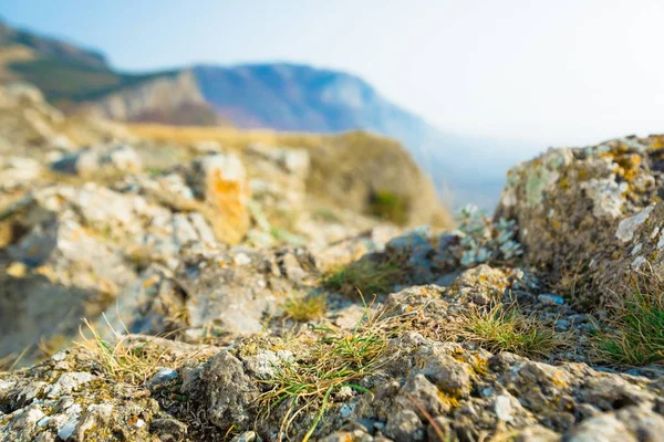 Paesaggio Montano Con Rocce Sullo Sfondo — Foto Stock