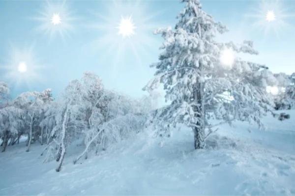Weihnachten Hintergrund Schnee Landschaft Baum Winter Hintergrund — Stockfoto