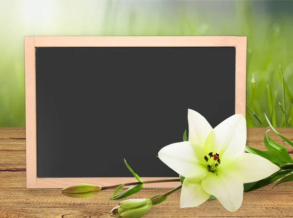 Nap Váza Virág Polárszűrő Üdvözlés Zöld Élet — Stock Fotó