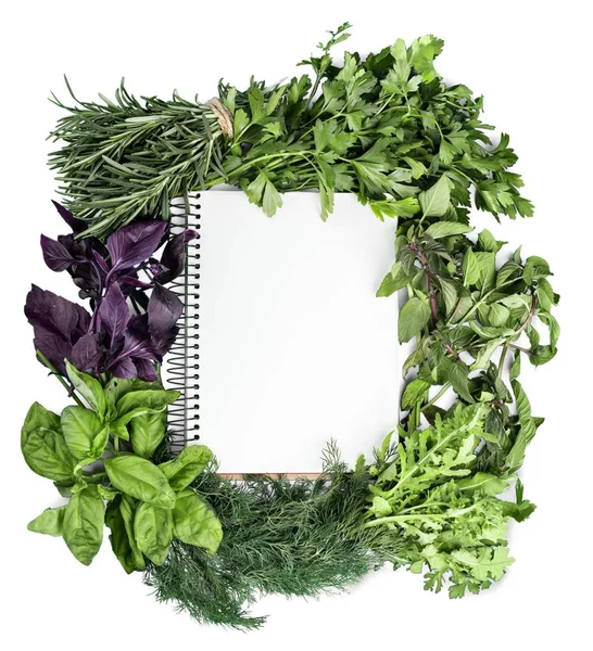 Green Fresh Herbs Mix Frame Top View — Stock Photo, Image