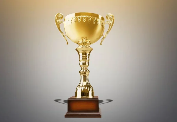 Trophy Cup Sport Vinnande Award Silver Medalj — Stockfoto