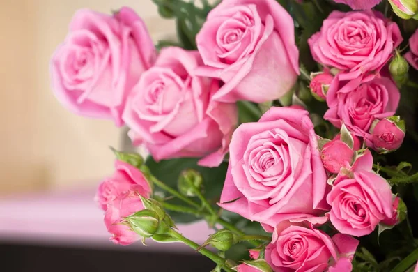 美丽的粉红色玫瑰花背景上 — 图库照片