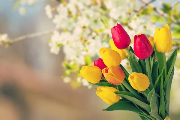 Resepsiyon Çiçekler Gün Mücevher Tulipe Sevgililer Kırmızı Bahar Çiçekleri — Stok fotoğraf