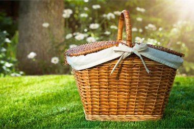 arka plan üzerinde piknik sepet