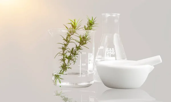 Small plants in test tubes, botanical care concept