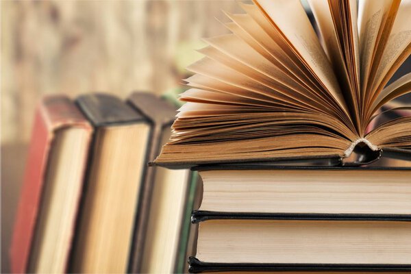 Куча книг для школы на размытом фоне
