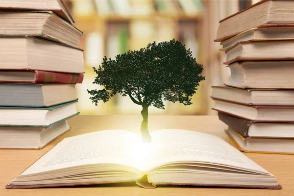 古書や木の積み重ね 教育コンセプト — ストック写真