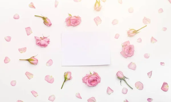 Närbild Rosa Ros Blommor Bakgrund — Stockfoto