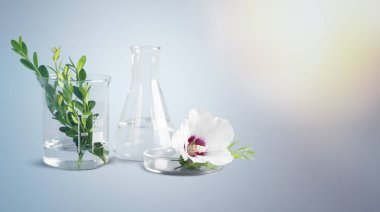 bilim laboratuvar test tüpleri 