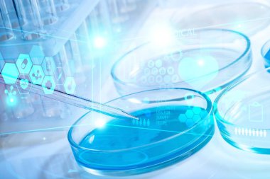 Boş Petri kabına yakından görmek