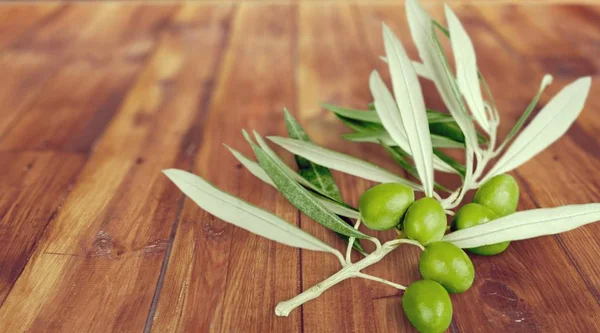 Aceitunas Verdes Rama Vista Cerca — Foto de Stock