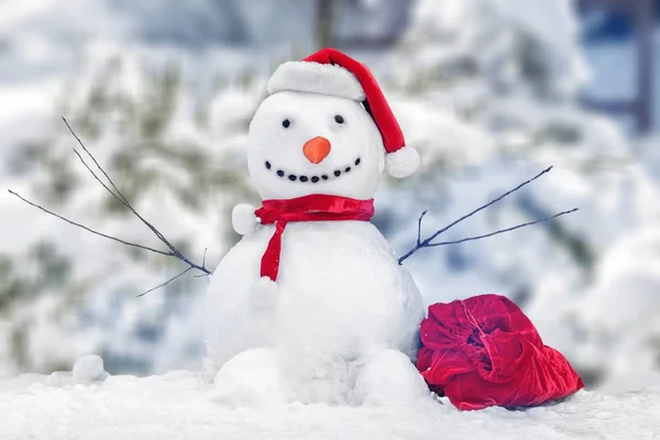 Cute Little Snowman Winter Park — Stock Photo, Image