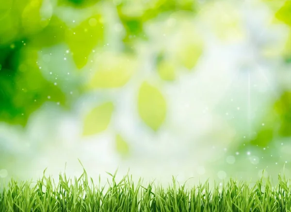 Пасхальный Фон Зеленой Травой — стоковое фото