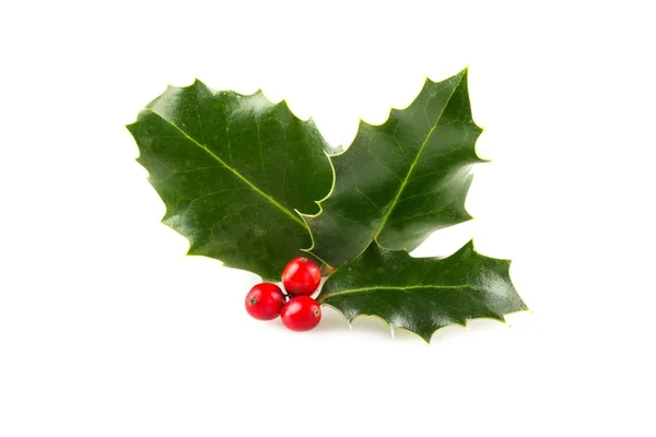 Hojas Acebo Bayas Aisladas Sobre Fondo Blanco Símbolo Navidad —  Fotos de Stock