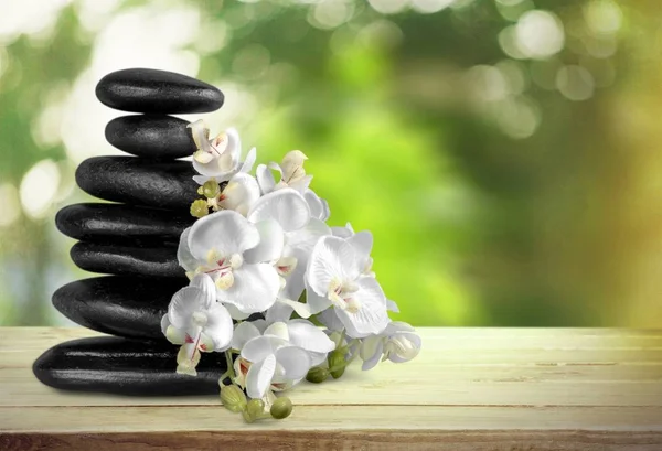 Zen Bazaltowe Kamienie Kwiaty Jasnym Tle — Zdjęcie stockowe