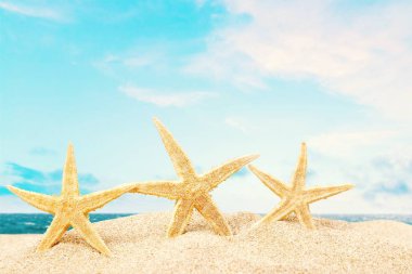 Deniz yıldızları kum, seyahat kavramı üzerinde 
